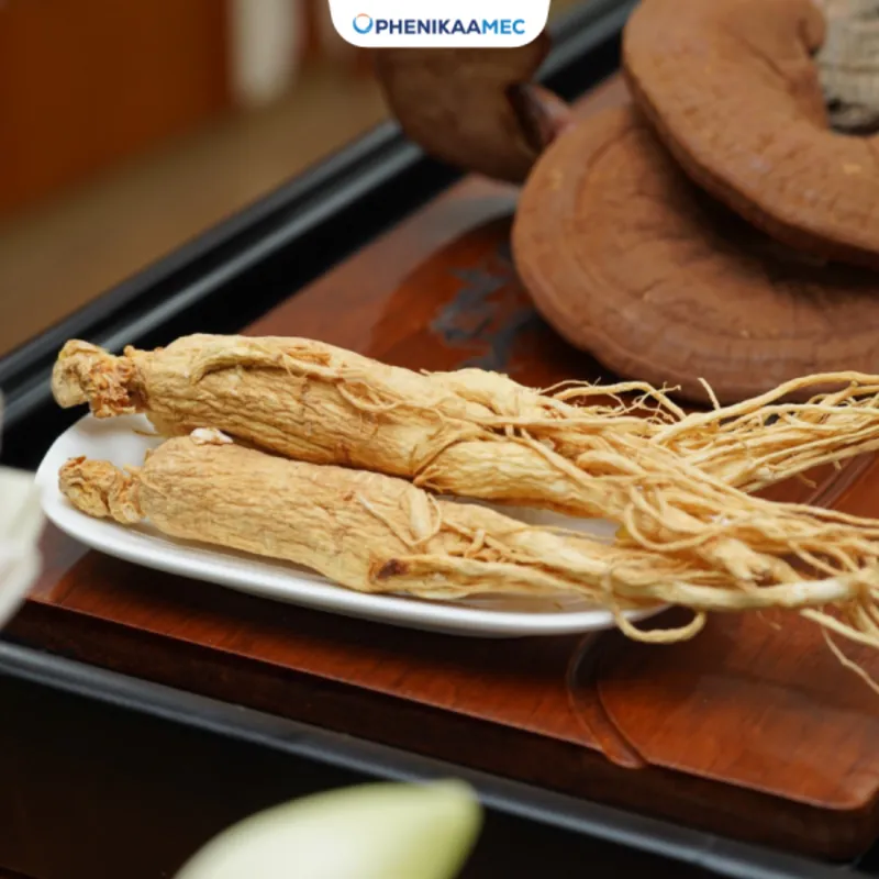 Dược liệu, vị thuốc cổ truyền tại PhenikaaMec được đảm bảo các tiêu chuẩn khắt khe