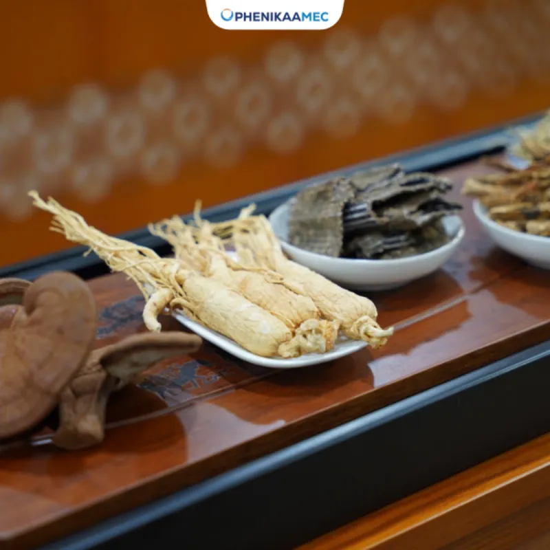 Dược liệu, vị thuốc cổ truyền tại PhenikaaMec được đảm bảo các tiêu chuẩn khắt khe