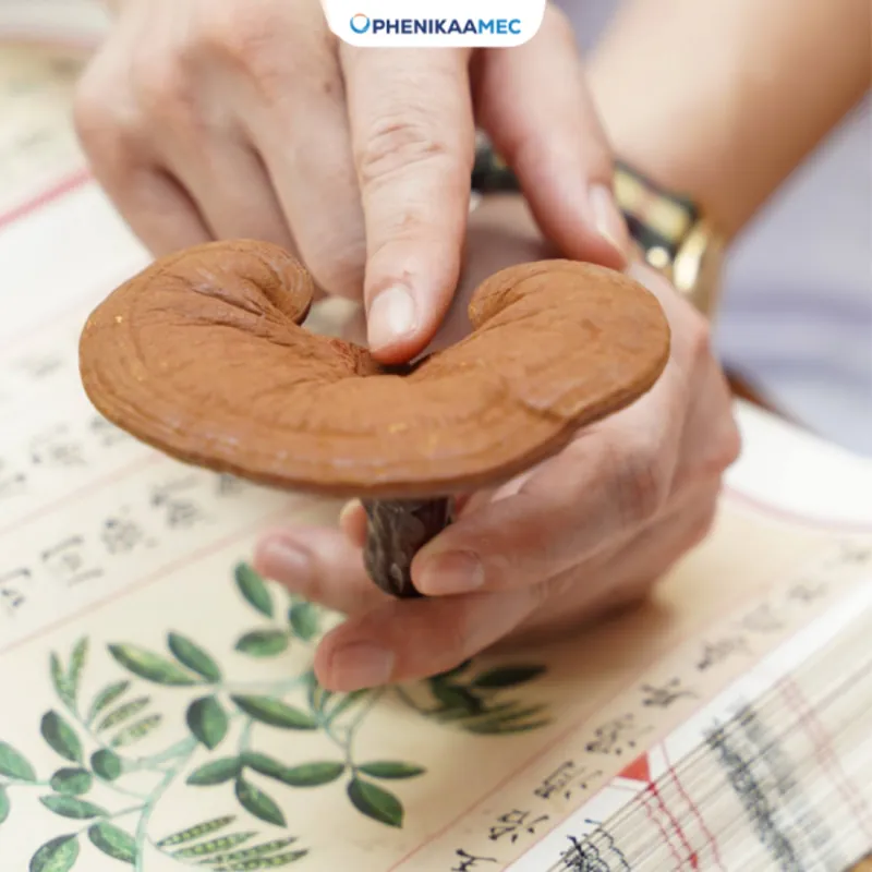 Dược liệu, vị thuốc cổ truyền tại PhenikaaMec được đảm bảo các tiêu chuẩn khắt khe