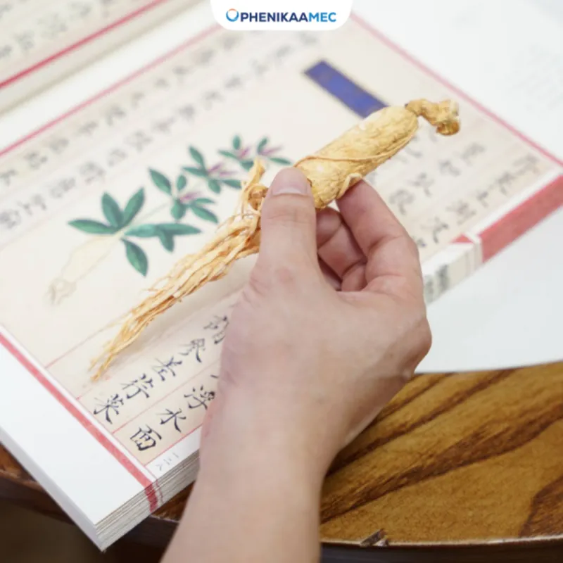 Dược liệu, vị thuốc cổ truyền tại PhenikaaMec được đảm bảo các tiêu chuẩn khắt khe